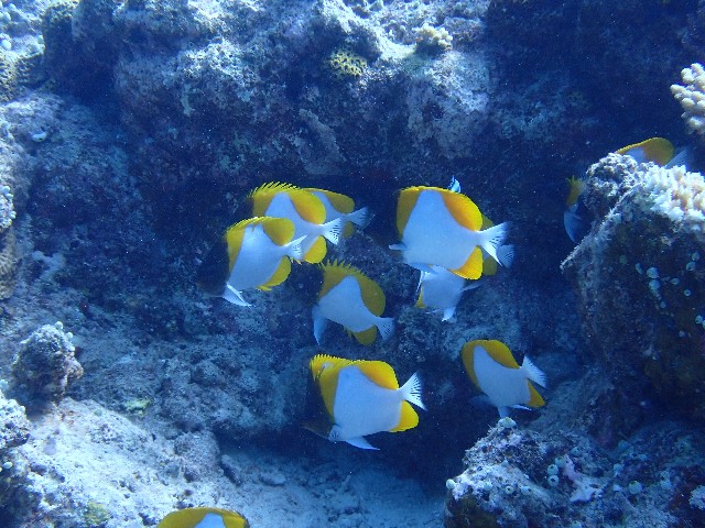 f:id:takedive1988:20230731180946j:image