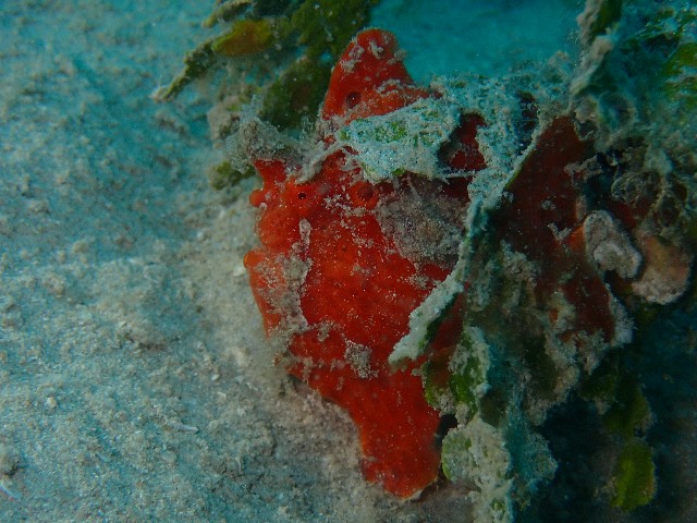f:id:takedive1988:20230801181557j:image