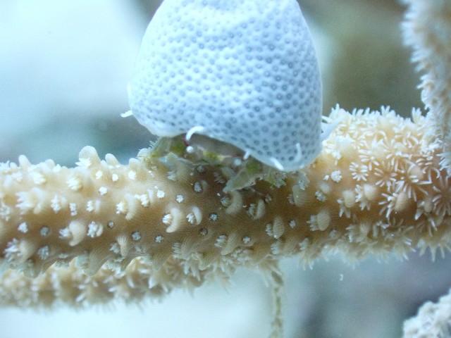 f:id:takedive1988:20230801182014j:image