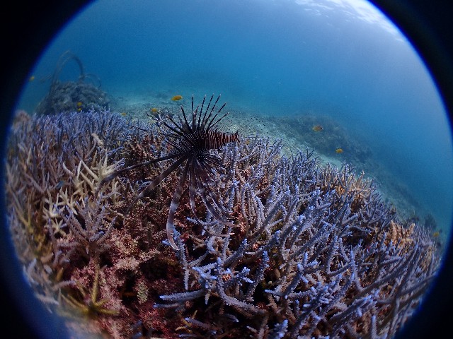 f:id:takedive1988:20230817215529j:image