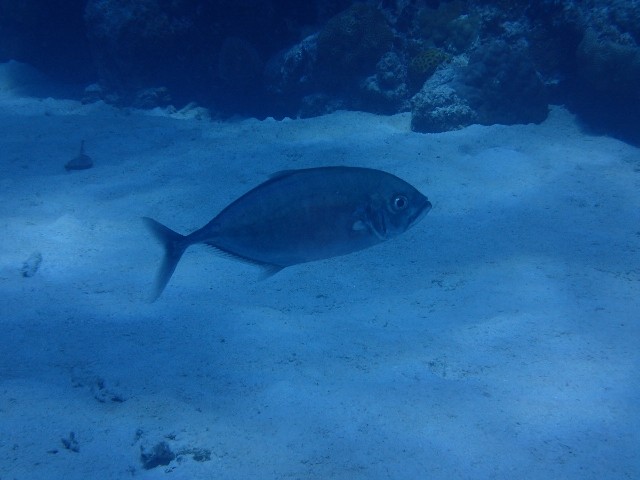 f:id:takedive1988:20230822183721j:image f:id:takedive1988:20230822183721j:image