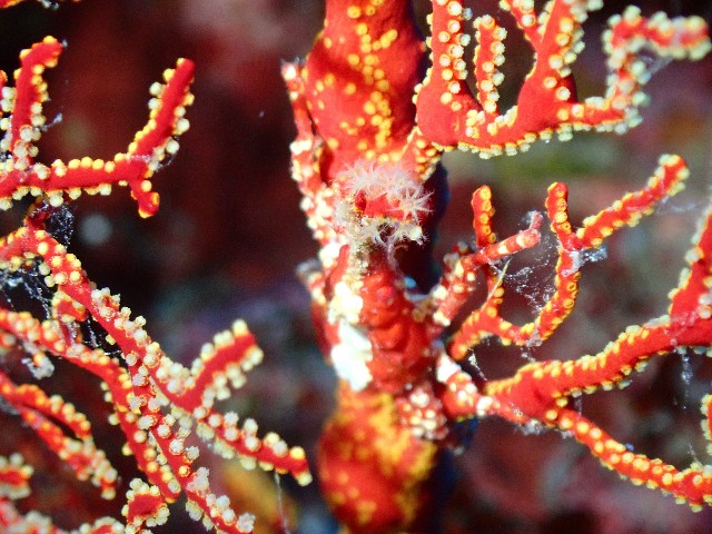 f:id:takedive1988:20230822210704j:image f:id:takedive1988:20230822210704j:image