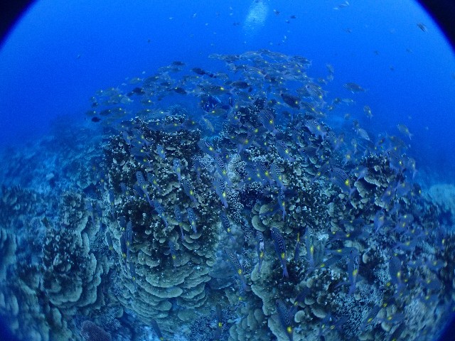 f:id:takedive1988:20230822210732j:image f:id:takedive1988:20230822210732j:image