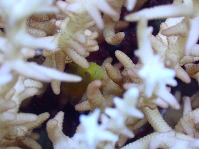 f:id:takedive1988:20230822210803j:image f:id:takedive1988:20230822210803j:image