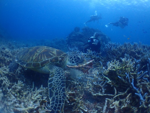 f:id:takedive1988:20230822210842j:image f:id:takedive1988:20230822210842j:image
