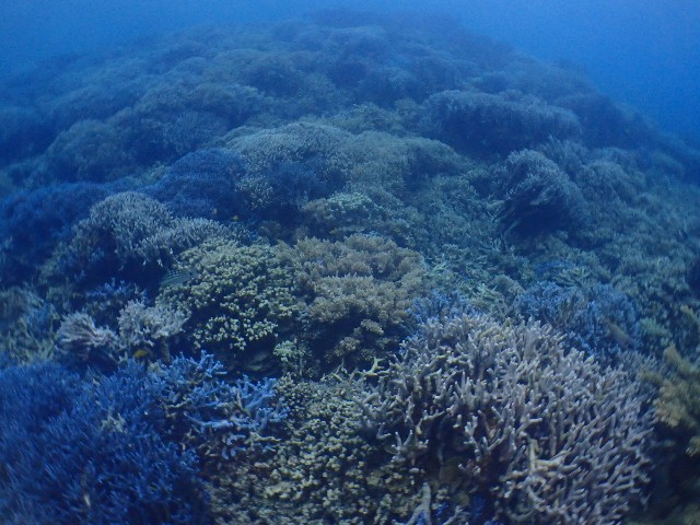 f:id:takedive1988:20230822210918j:image f:id:takedive1988:20230822210918j:image