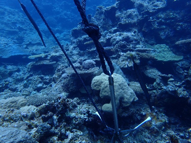 f:id:takedive1988:20230822210932j:image f:id:takedive1988:20230822210932j:image