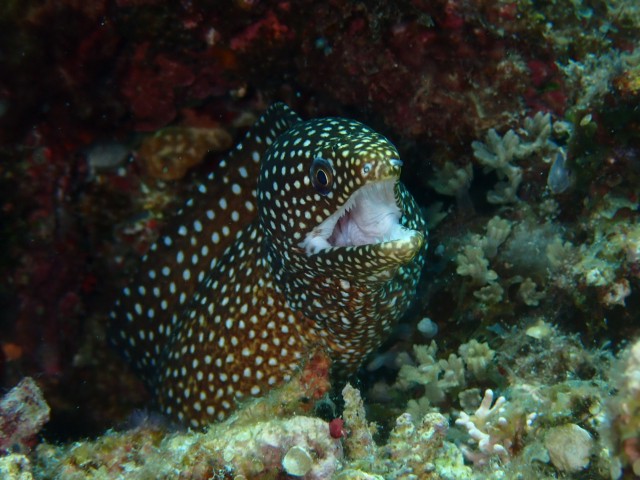 f:id:takedive1988:20230825213026j:image