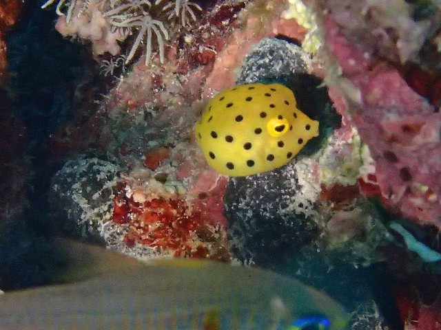 f:id:takedive1988:20230830195255j:image