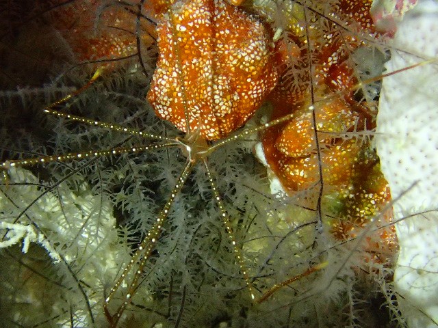 f:id:takedive1988:20230912190843j:image f:id:takedive1988:20230912190843j:image