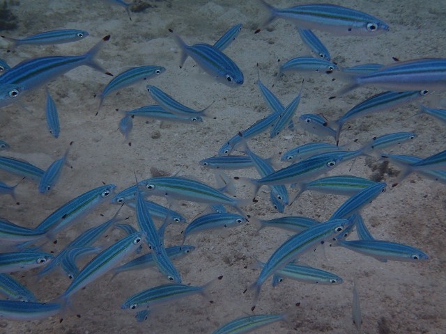 f:id:takedive1988:20230929181504j:image f:id:takedive1988:20230929181504j:image