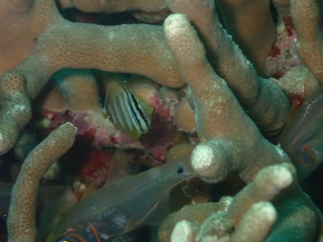 f:id:takedive1988:20231021182152j:image f:id:takedive1988:20231021182152j:image