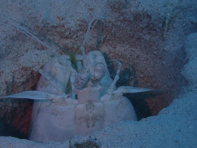 f:id:takedive1988:20231114205805j:image