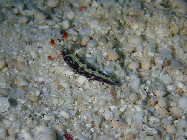 f:id:takedive1988:20231114205814j:image