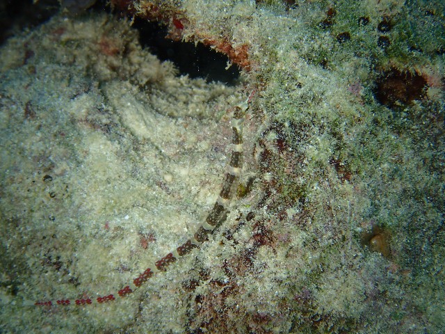 f:id:takedive1988:20231114205826j:image