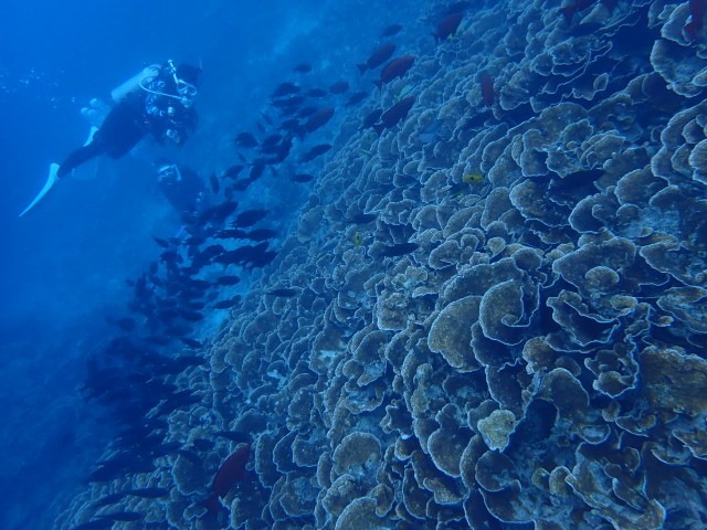 f:id:takedive1988:20231114205941j:image