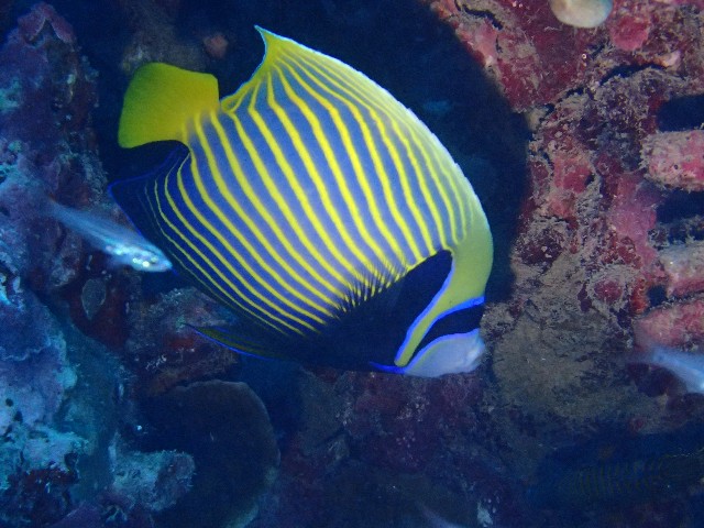 f:id:takedive1988:20231114205952j:image