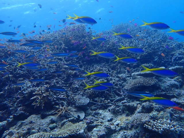 f:id:takedive1988:20231114210026j:image