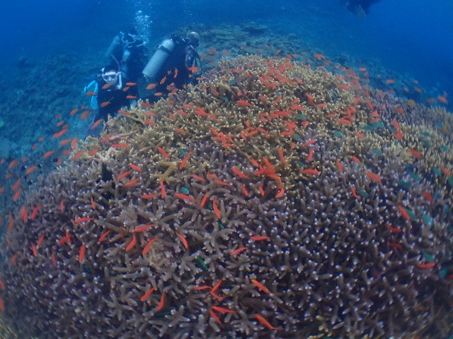 f:id:takedive1988:20231114210048j:image