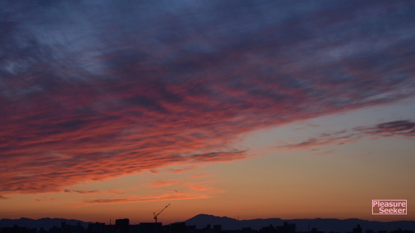 f:id:takedon07:20200608212403j:plain