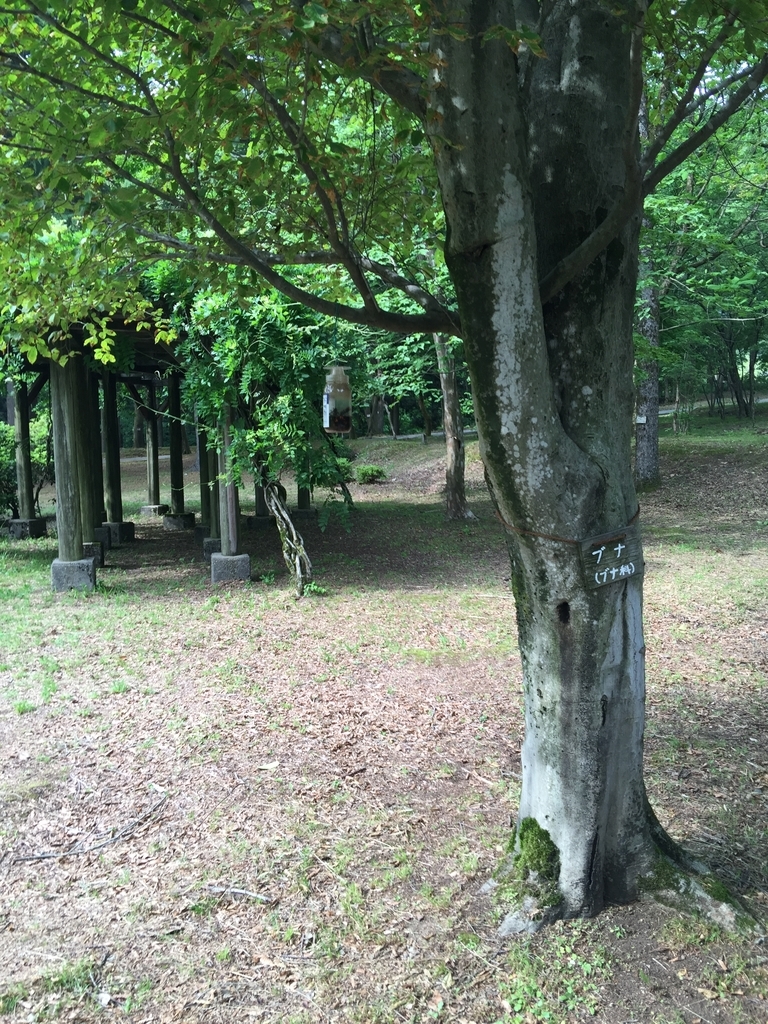 f:id:takedunk:20180910091251j:plain