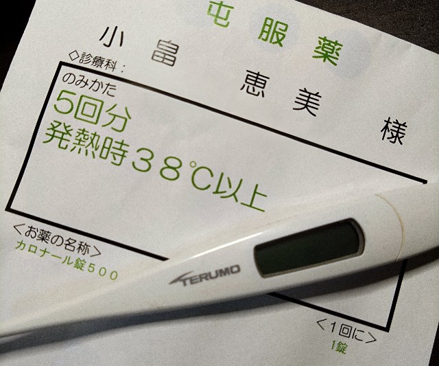 f:id:takeemi:20250928133635j:image