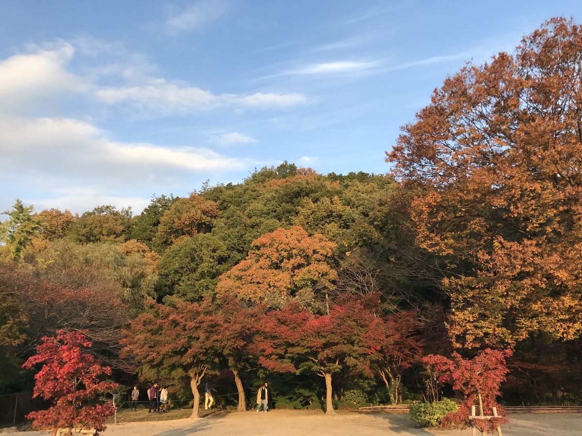 f:id:takefjb:20191122201018j:plain