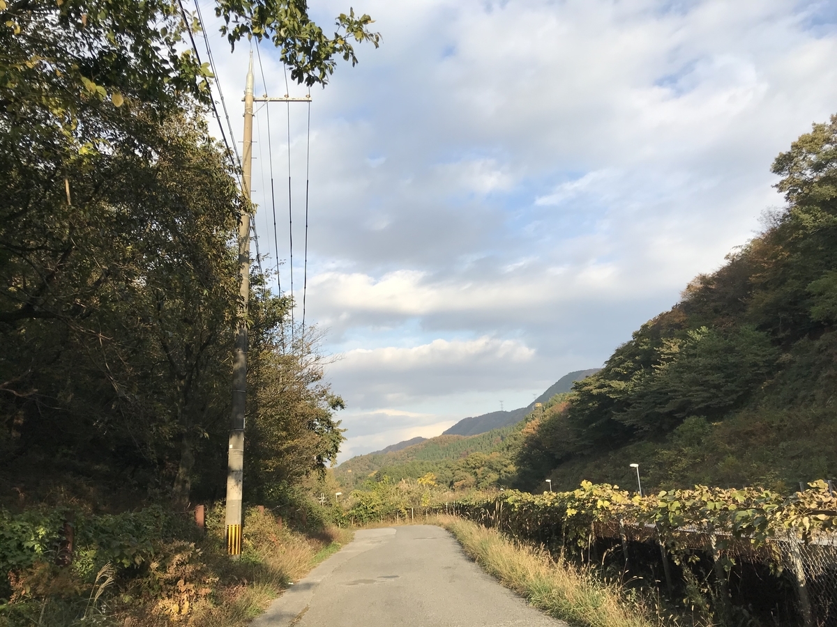 f:id:takefjb:20191122201156j:plain