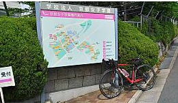 f:id:takegon8:20190605073558j:plain f:id:takegon8:20190605073558j:plain