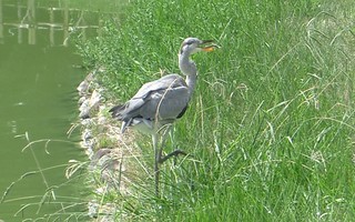 f:id:takehikom:20050723140821j:image f:id:takehikom:20050723140821j:image