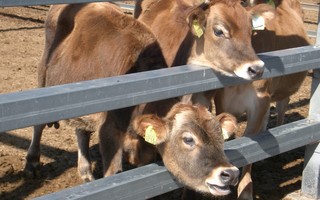 f:id:takehikom:20061104110726j:image f:id:takehikom:20061104110726j:image