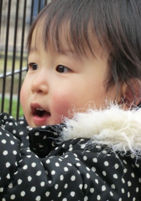 f:id:takehikom:20130224053302j:image
