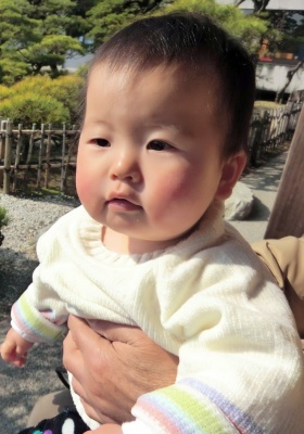 f:id:takehikom:20130224053303j:image