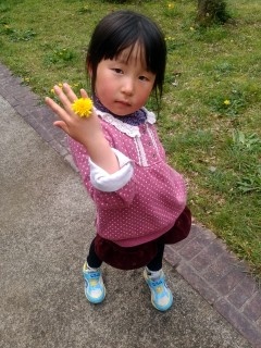 f:id:takehikom:20160405062144j:image