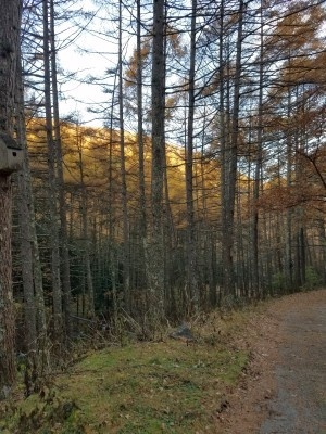 f:id:takehikom:20171107210024j:image