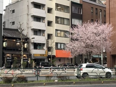 f:id:takehikom:20180324004617j:image