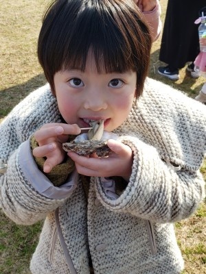 f:id:takehikom:20200202230644j:plain