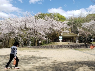 f:id:takehikom:20200405224442j:plain