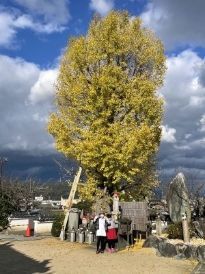 f:id:takehikom:20201125055910j:plain
