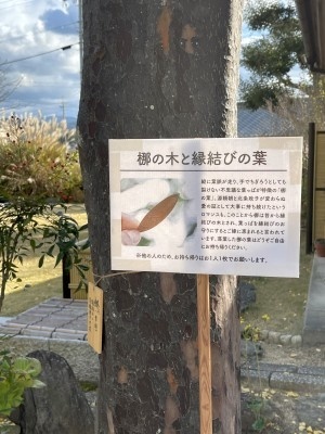 f:id:takehikom:20201125055916j:plain