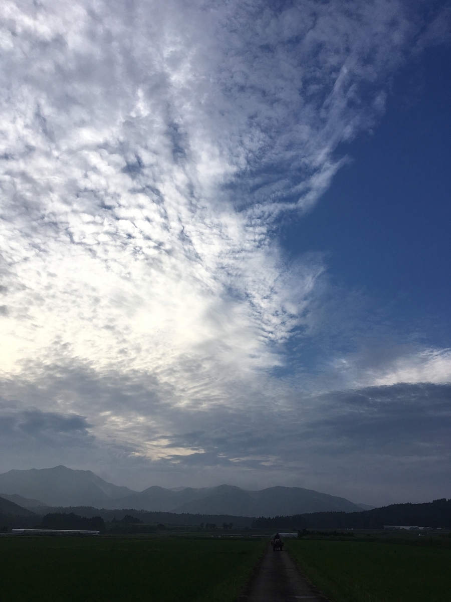 f:id:takehiro0405:20190806212736j:plain