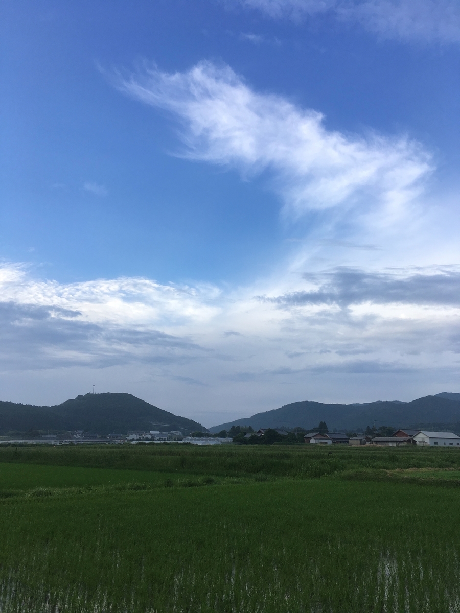 f:id:takehiro0405:20190806212747j:plain