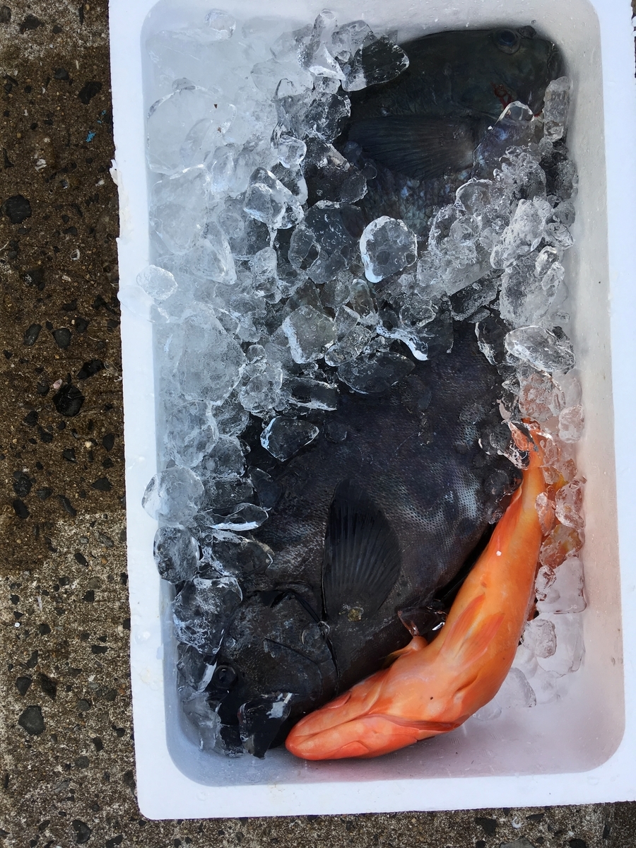 f:id:takehiro0405:20190810221835j:plain f:id:takehiro0405:20190810221835j:plain