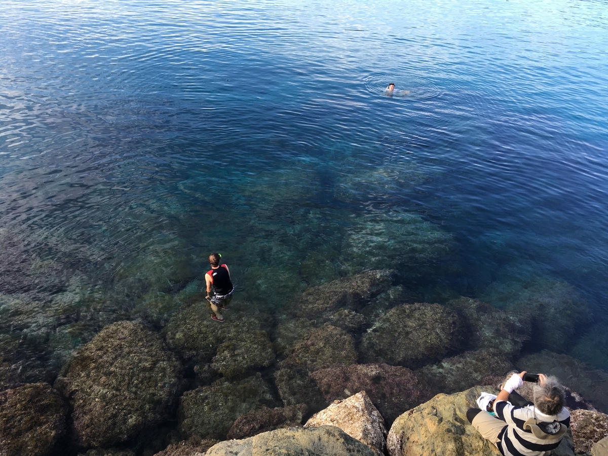 f:id:takehiro0405:20190810223444j:plain f:id:takehiro0405:20190810223444j:plain