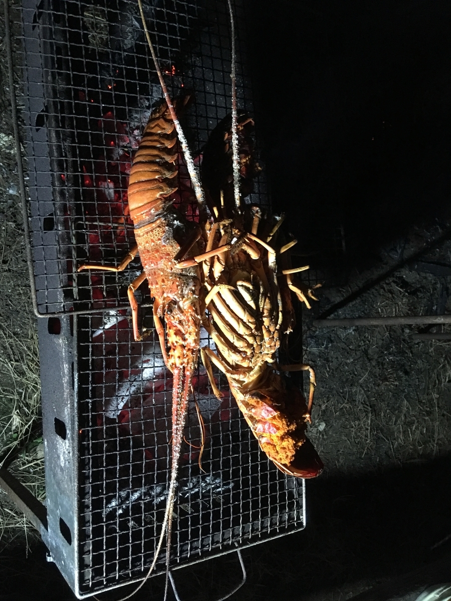 f:id:takehiro0405:20190810225113j:plain f:id:takehiro0405:20190810225113j:plain