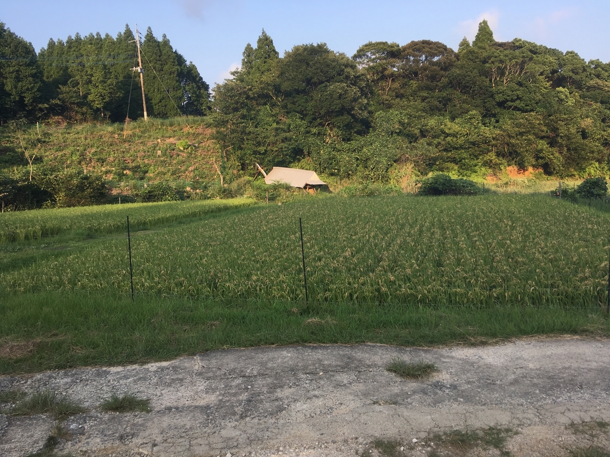 f:id:takehiro0405:20191003200943j:plain