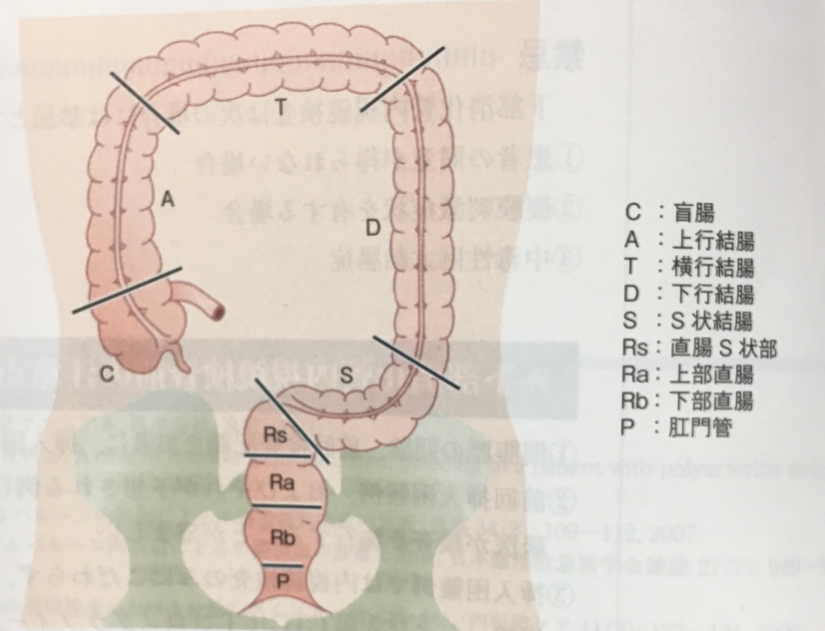 f:id:takehiro0405:20200522224548j:plain f:id:takehiro0405:20200522224548j:plain