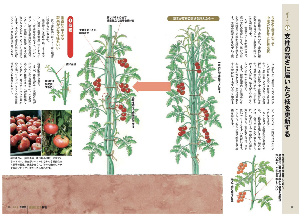 f:id:takehiro0405:20210422222101p:plain