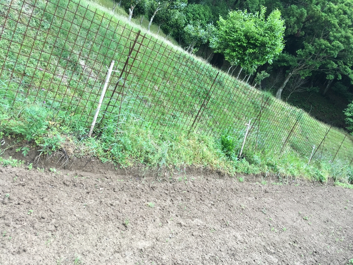 f:id:takehiro0405:20210516215513j:plain