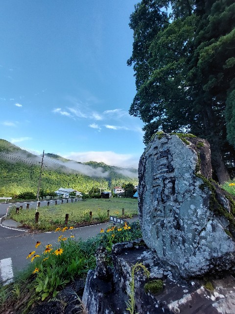 f:id:takehiroakamar:20220908002932j:image f:id:takehiroakamar:20220908002932j:image